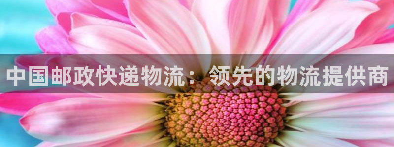 28圈客服一直不回消息怎么办