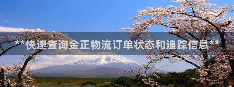 28圈官方平台：**快速查询金正物流