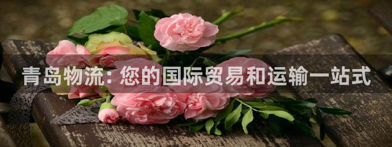 28圈加拿大技巧