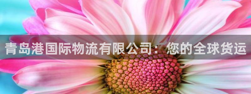 28圈注册网站：青岛港国际物流有限公