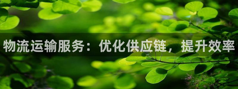 28圈软件：物流运输服务：优化供应链