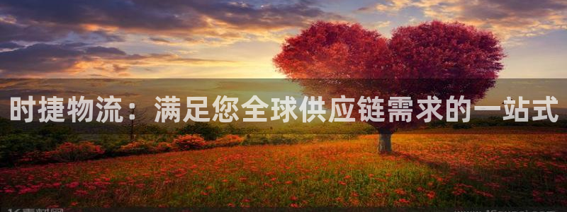28圈比特28预测在线预测：时捷物流