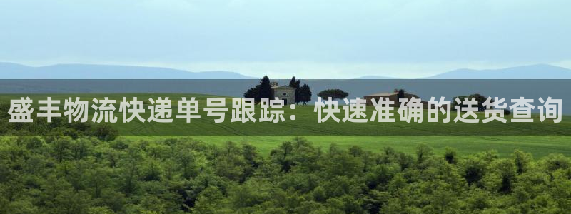 28圈黑钱：盛丰物流快递单号跟踪：快