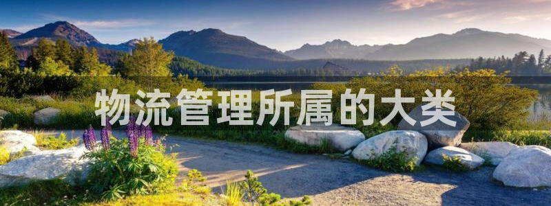 28圈ccm游戏：物流管理所属的大类