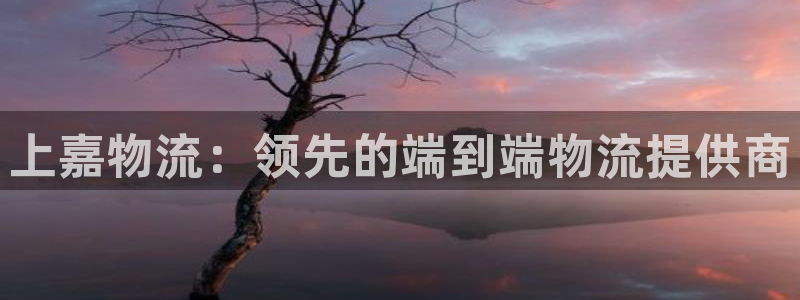 28圈注册网站APP：上嘉物流：领先