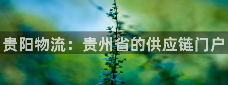 南宫28圈官网：贵阳物流：贵州省的供