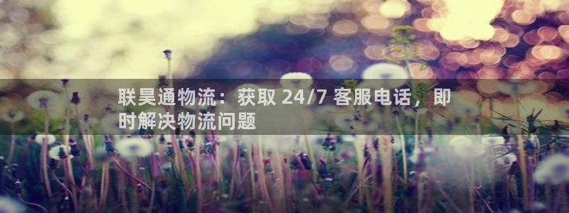 28圈注册步骤：联昊通物流：获取 2