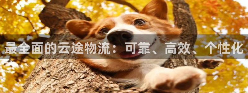 28圈的自行车：最全面的云途物流：可