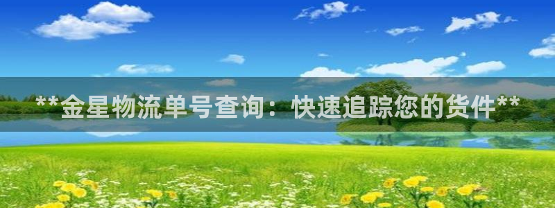 28圈加拿大怎么玩：**金星物流单号