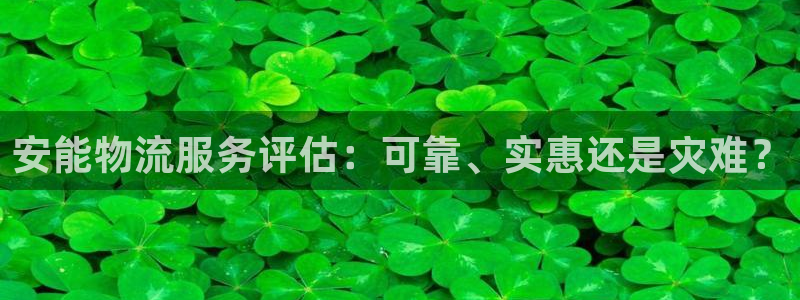 28圈加拿大真假怎么看：安能物流服务