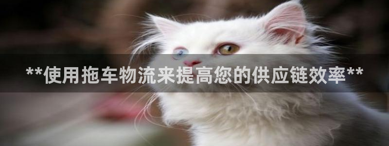 28圈赌博软件正规吗：**使用拖车物