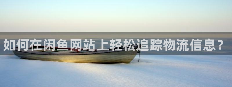 28圈官网版2024：如何在闲鱼网站