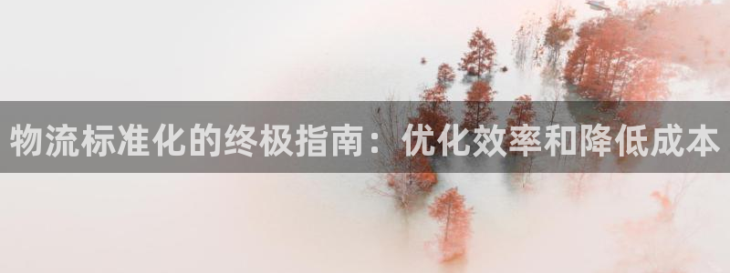 28圈网站怎么注册：物流标准化的终极