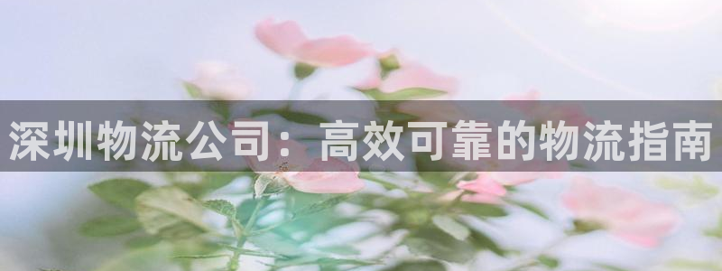28圈相信品牌的力量：深圳物流公司：