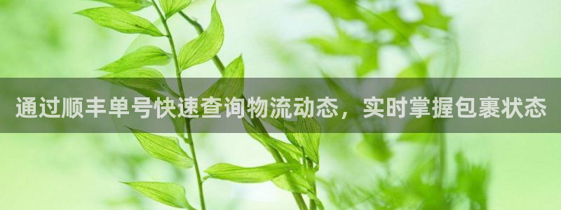 28圈.ccm2024：通过顺丰单号