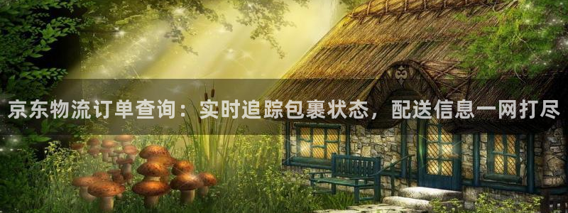28圈.ccmpc28：京东物流订单
