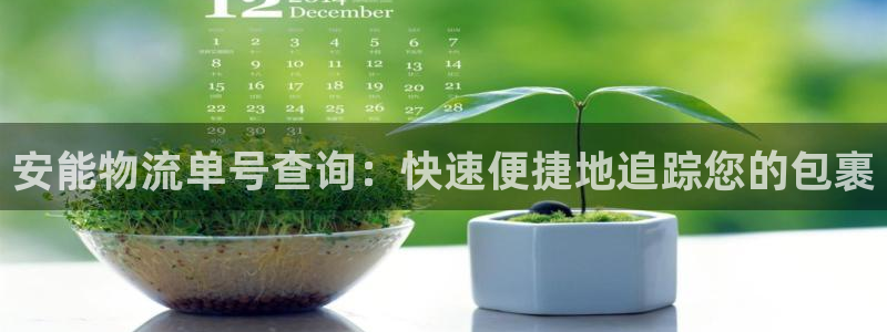 28圈麻将胡了：安能物流单号查询：快