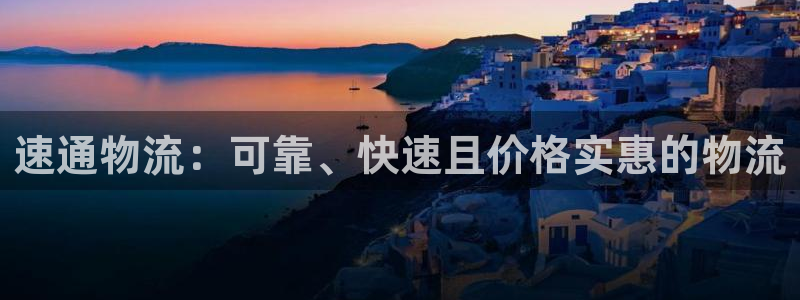 28圈怎么注册：速通物流：可靠、快速
