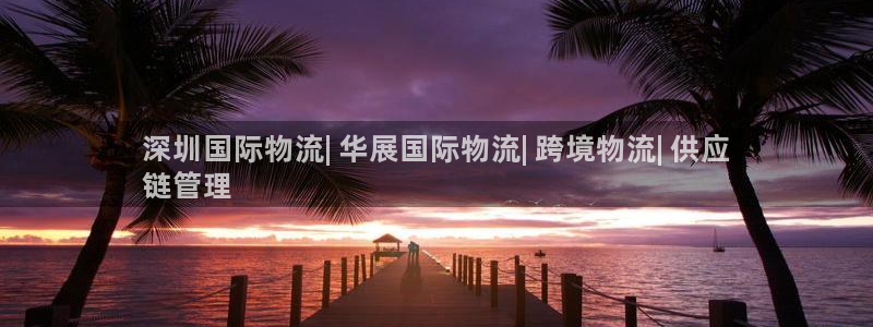 28圈软件有什么用：深圳国际物流| 