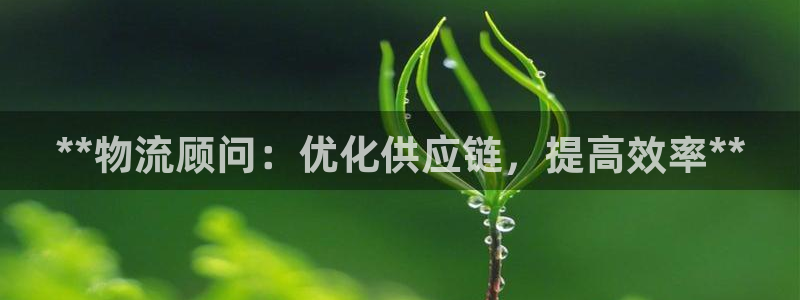 28圈p扣除是什么意思：**物流顾问
