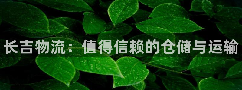 28圈免费充钱