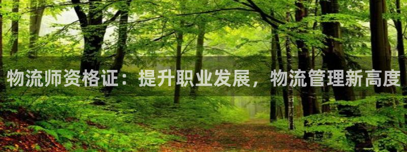 自行车28圈是什么意思：物流师资格证