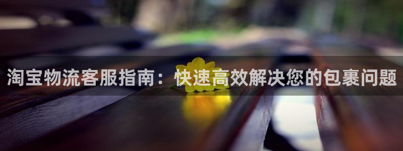 28圈黑吗：淘宝物流客服指南：快速高