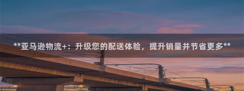 自行车28圈是什么意思：**亚马逊物