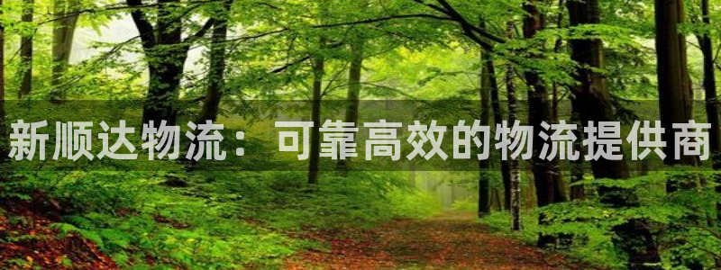 28圈加拿大能提现吗：新顺达物流：可