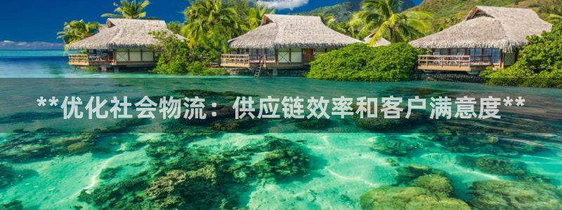 28圈链接是什么：**优化社会物流：