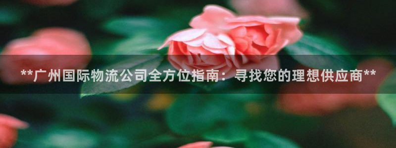 28圈注册网站多少钱一个：**广州国