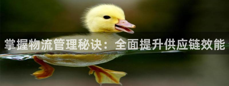 28圈软件是诈骗吗：掌握物流管理秘诀
