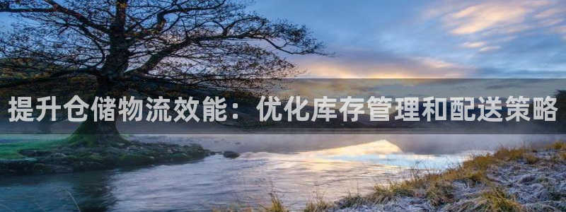 28圈pg麻将胡了：提升仓储物流效能