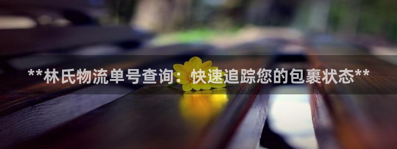 28圈app怎么注册账号：**林氏物