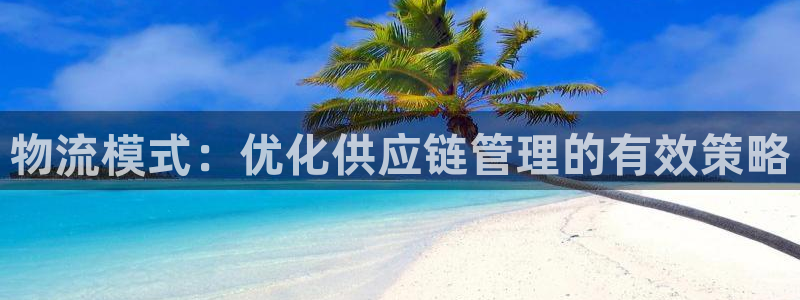 28圈游戏官网入口：物流模式：优化供