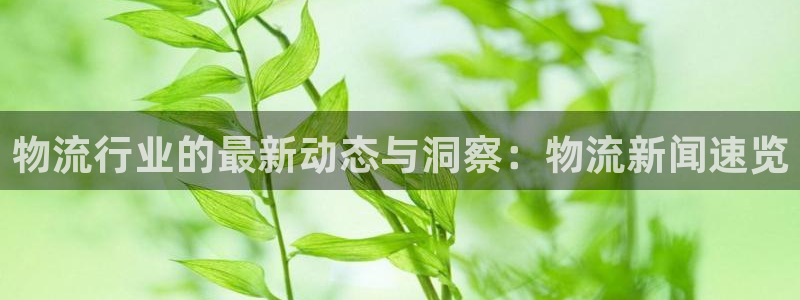 28圈预测网：物流行业的最新动态与洞