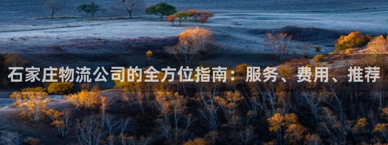 28圈登录不上咋回事：石家庄物流公司