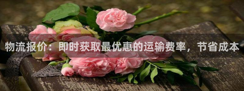 28圈昵称：物流报价：即时获取最优惠