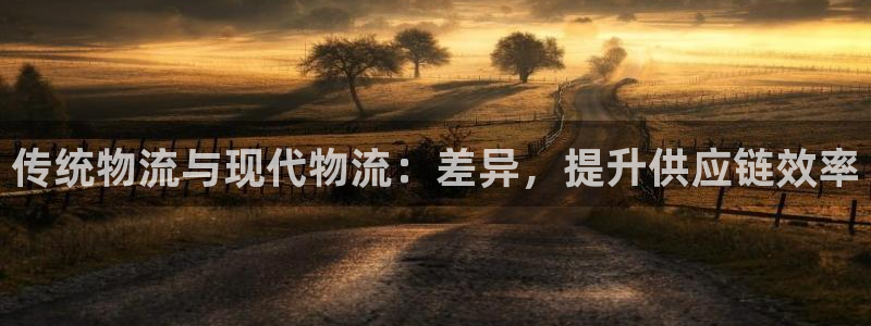28圈黑款：传统物流与现代物流：差异