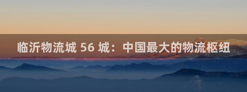 28圈官方官网：临沂物流城 56 城