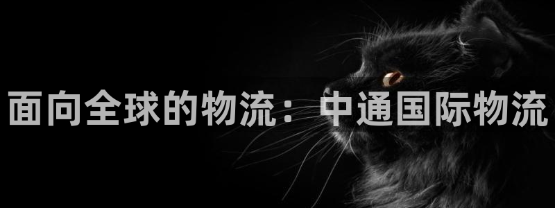 28圈官方版网站：面向全球的物流：中