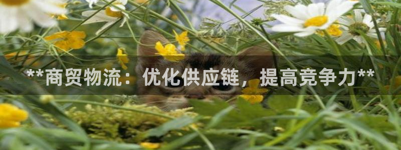 28圈旗下：**商贸物流：优化供应链