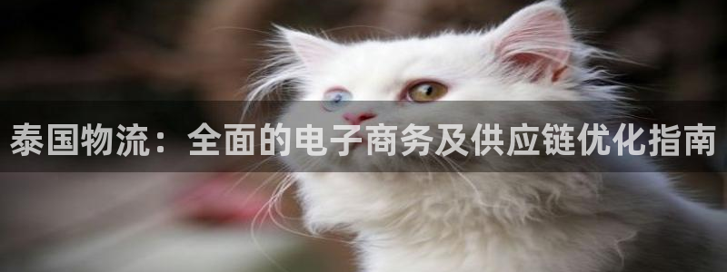 28圈软件是诈骗吗
