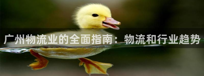 28圈下载不了