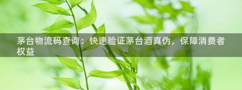 28圈绿骨头：茅台物流码查询：快速验
