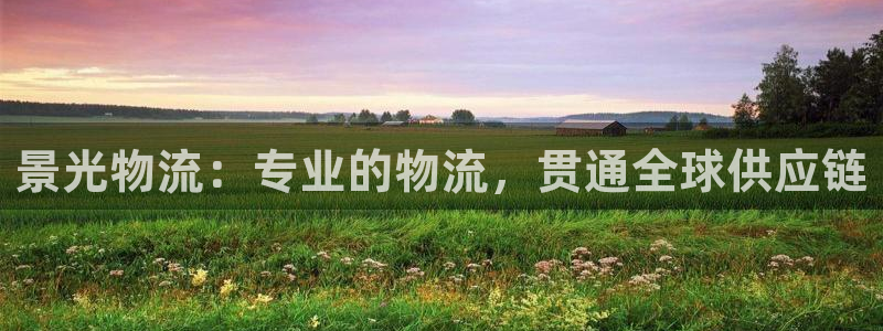 28圈圈助手：景光物流：专业的物流，
