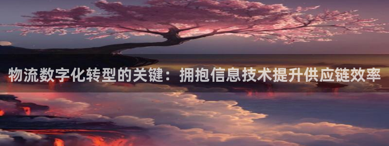 28圈h5链接：物流数字化转型的关键