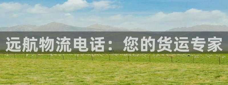 28圈加拿大下载：远航物流电话：您的