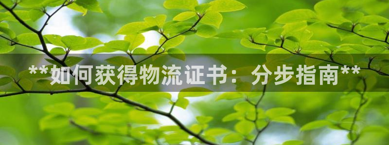 28圈登录：**如何获得物流证书：分
