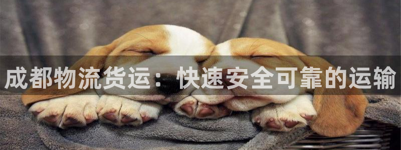 28圈注册登录链接流程：成都物流货运